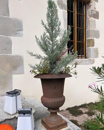 Pair of 19th Century Cast Iron Urns