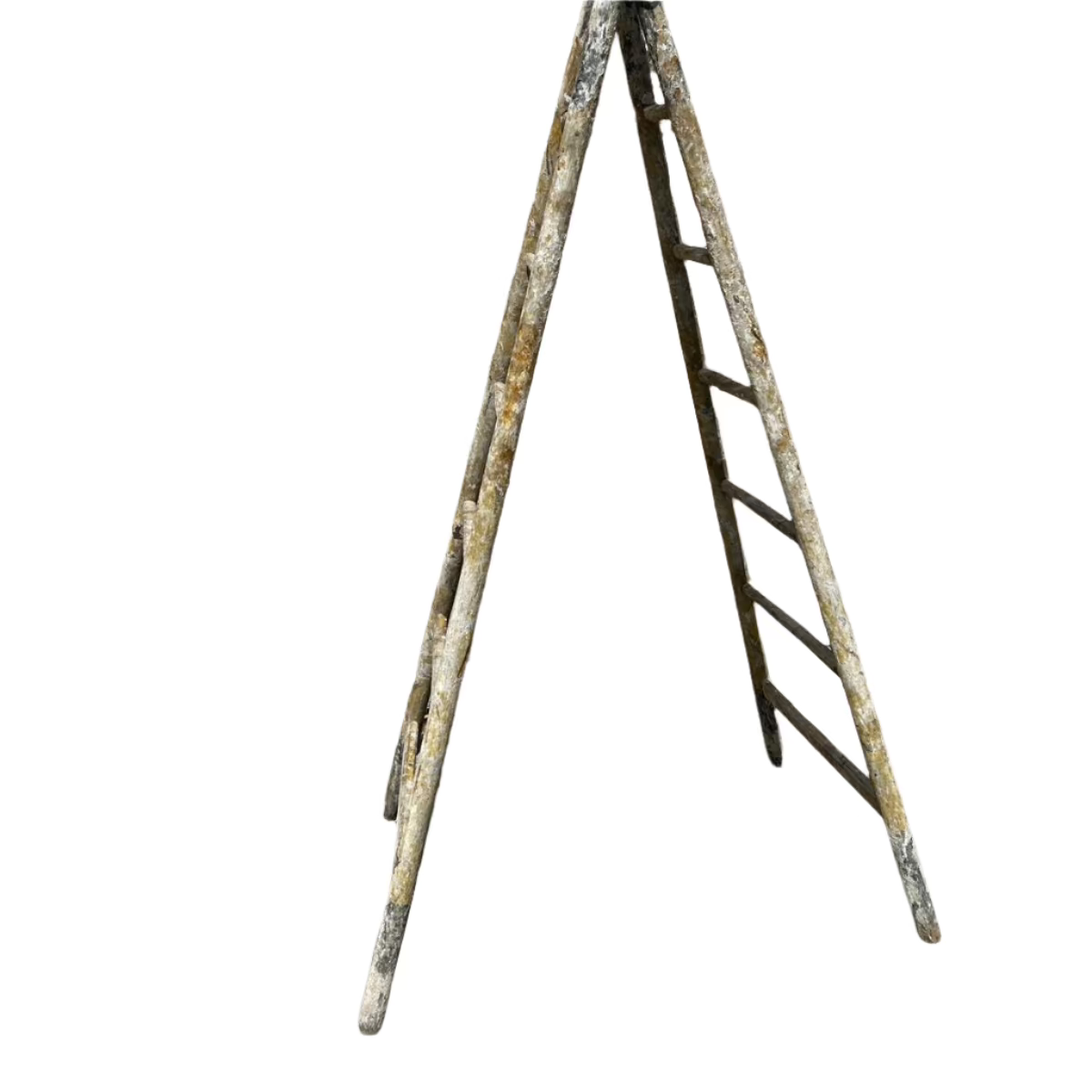 19th Century Orchard Ladder