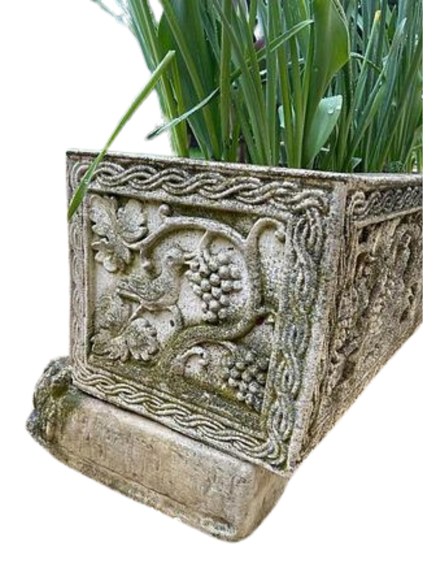Pair of large planters