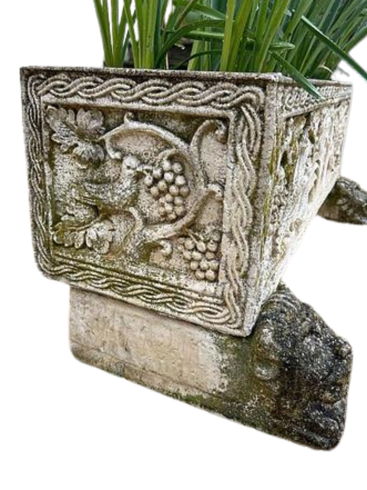 Pair of large planters