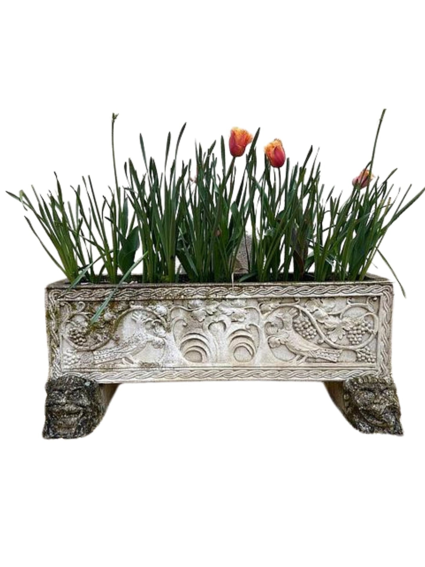 Pair of large planters