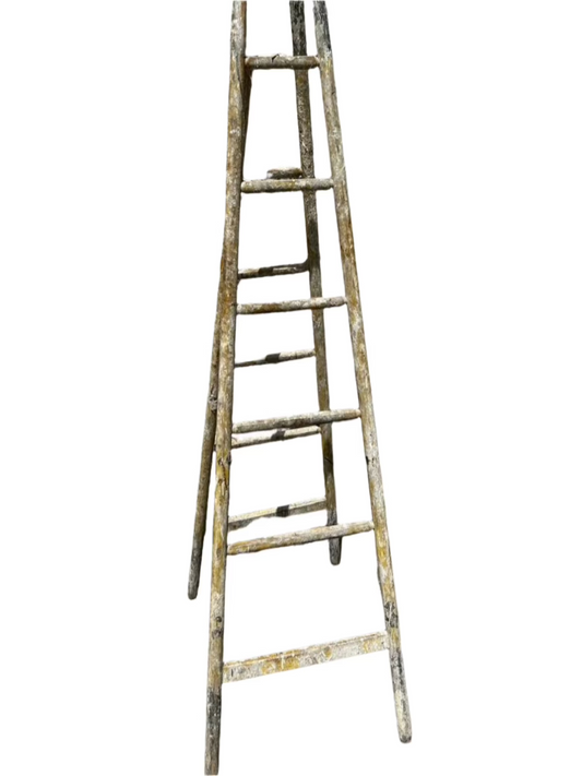 19th Century Orchard Ladder